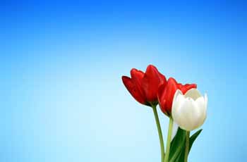 绿色无污染的手机攻击器APP下载