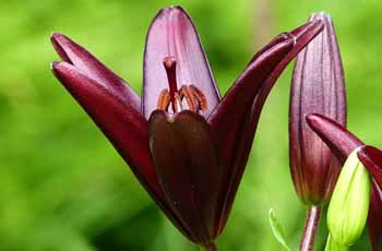 免费ddos平台攻击