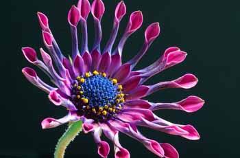 服务器攻击方式