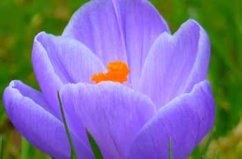 ddos在线压力测试平台