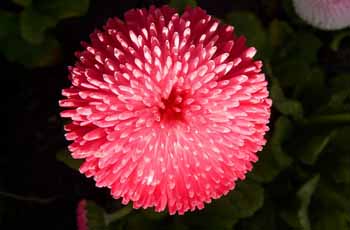 会员商店可靠的网站攻击防护