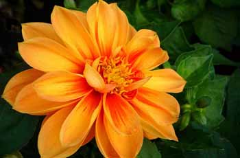 ddos压力在线测试平台