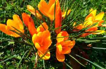 ddos压力测试网页端