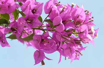 免费DDOS攻击测试工具