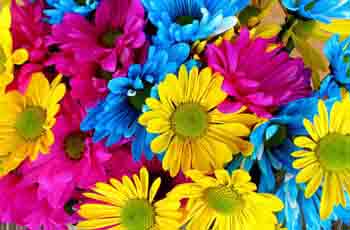 ddos在线压力测试平台