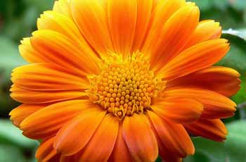 安全无毒可靠的ddos网页端